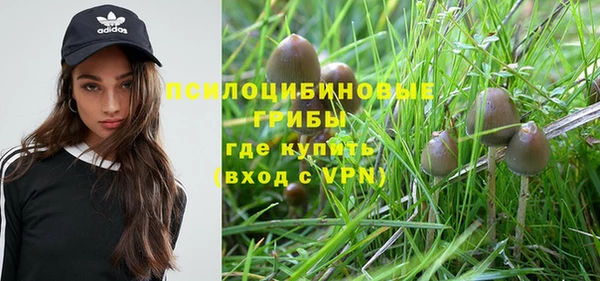 дмт Козловка