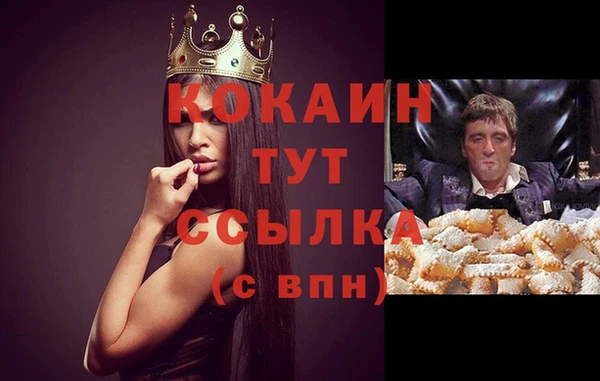 apvp Козельск