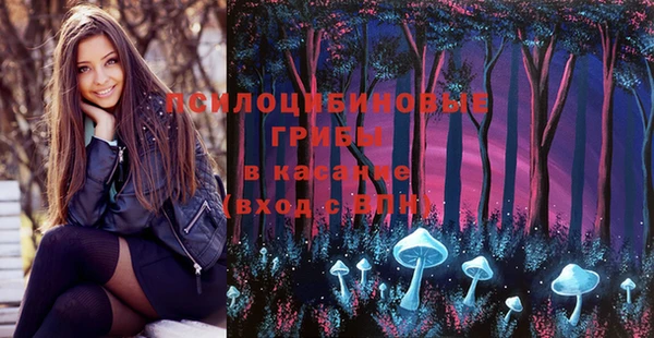 apvp Козельск